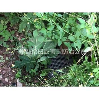 從化上門驅蛇防蛇