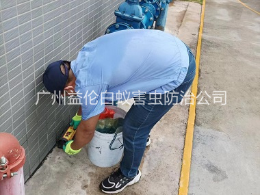 南沙工廠施藥滅鼠工程
